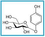 Arbutin alpha-Anomer